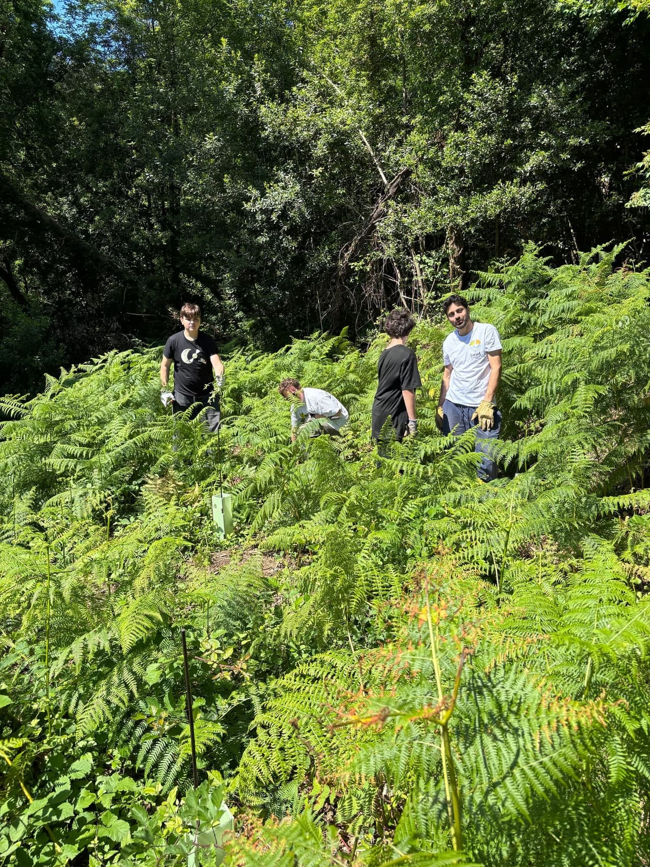 Volunteers and community members dedicating years of care to the forest